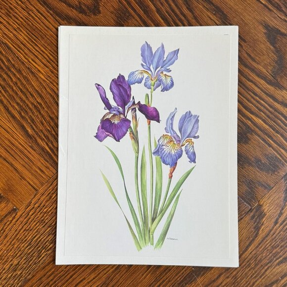 Vintage French Flower Prints Set 1 - Picture 4 of 5